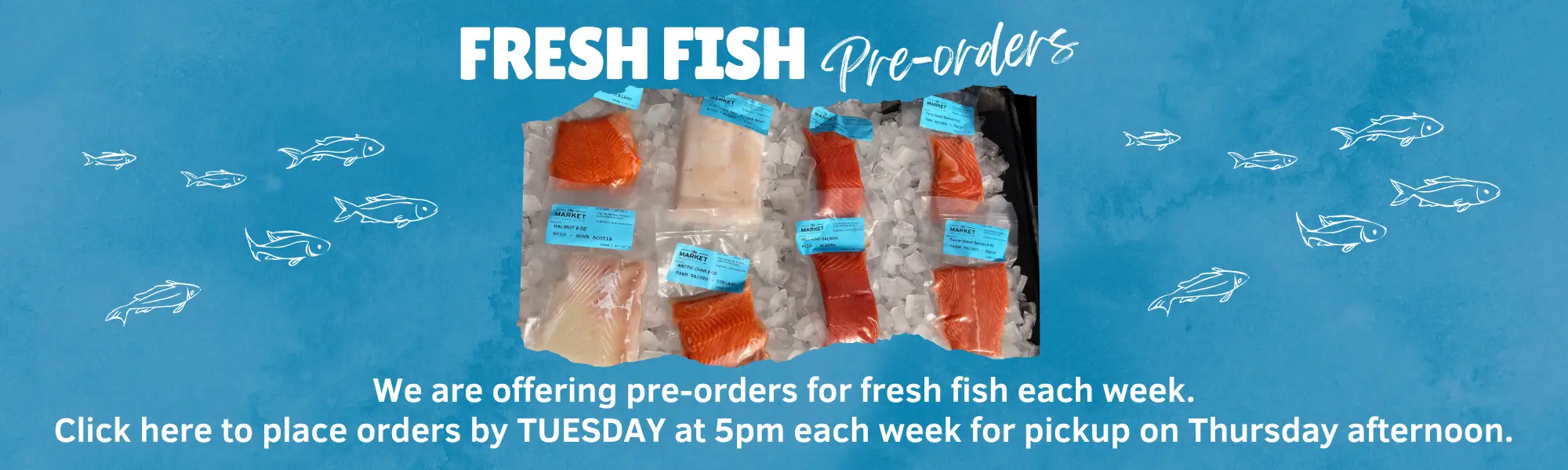 Fresh Fish Pre-Orders